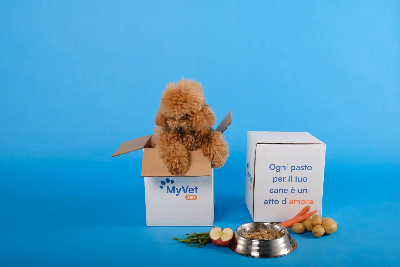 MyVetDiet — cibo fresco